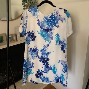 Blue and White Floral Mini Dress